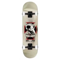 Birdhouse Complete Tony Hawk Skull 2 Chrome 7.75"
