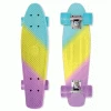 Street Surfing Plastic Cruiser Beach Board Spectrum Color Hype